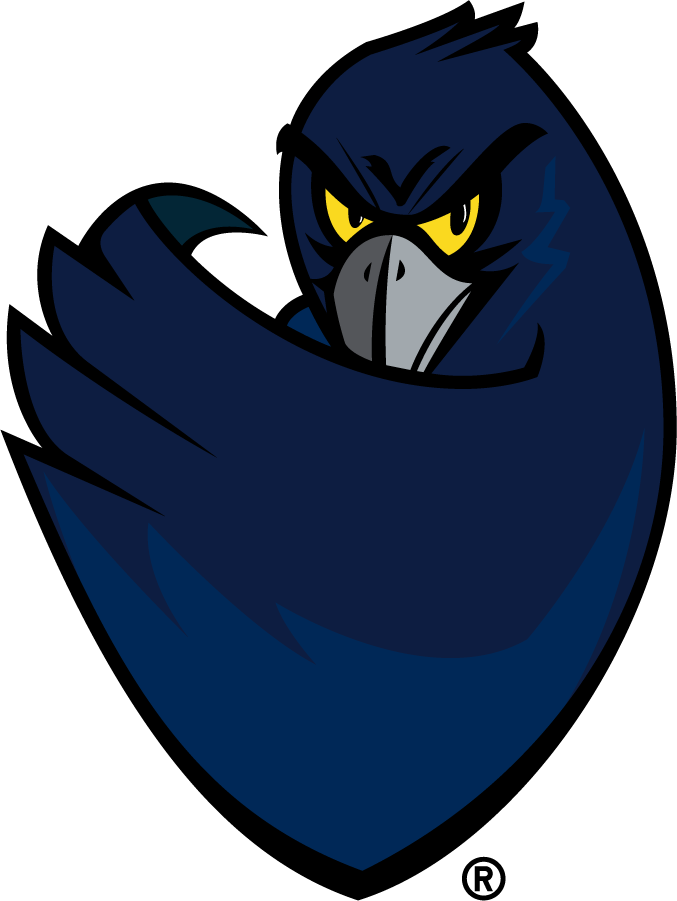Monmouth Hawks 2003-2014 Secondary Logo iron on transfers for clothing